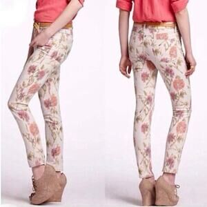 Anthropologie 29 Pilcro and the Letterpress skinny jean floral cottagecore grey